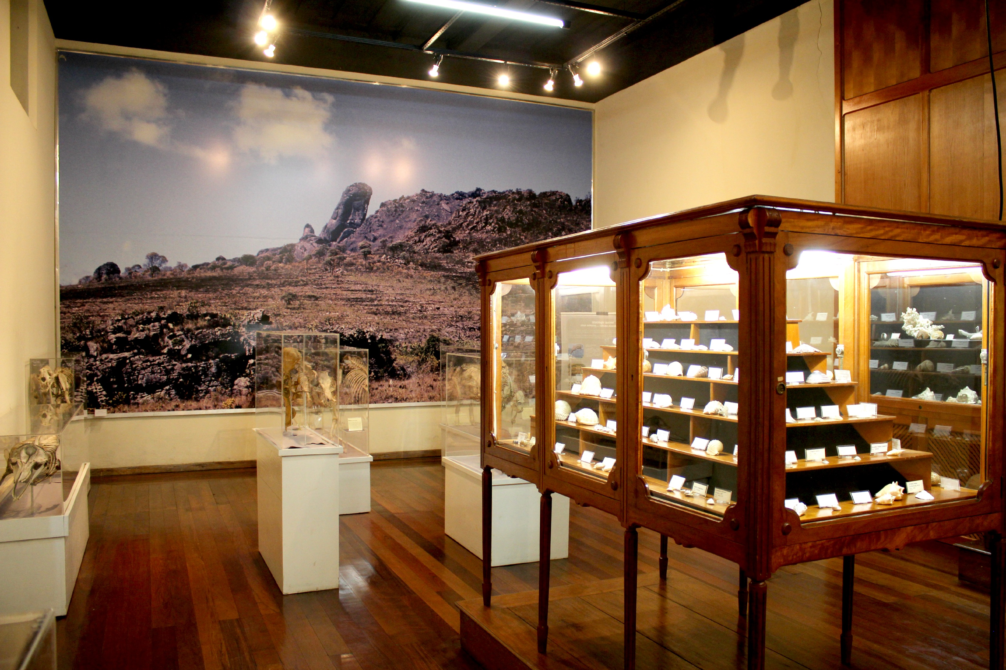 Museum of Science and Technique of the School of Mines