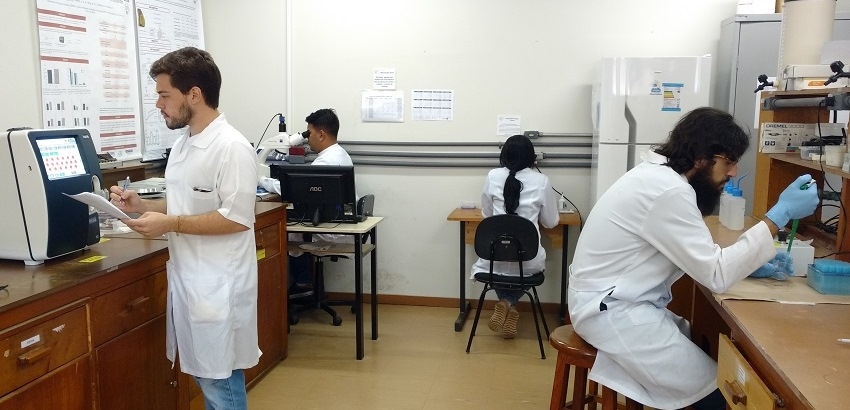 Experimental Pathophysiology Laboratory (LAFEx)